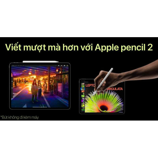 iPad Pro 11 inch 2022 M2 Wifi 128GB